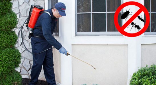 Çorum Gümüşkurt İlaçlama böcek ilaçlama ve haşere kontrolü — ilaclama-tr.com
